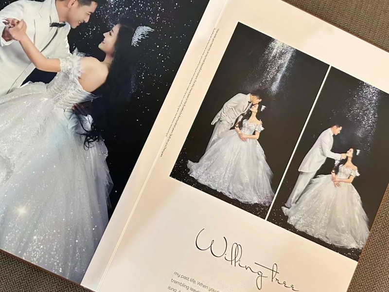 Layflat artbook open to a spread